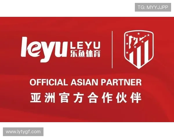 乐鱼体育app下载官网(中国)最新安全保障措施，保障用户信息和资金安全