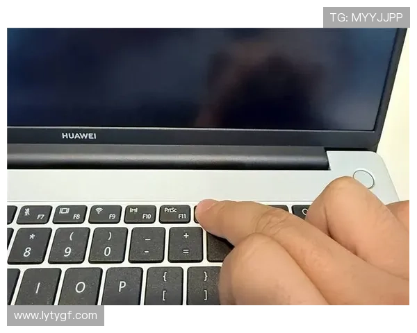 乐鱼乐鱼app在线登录步骤详解，新手也能轻松完成登录操作