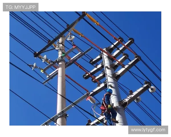 乐投瑞丰线路检测技术全面提升电力系统的安全性与可靠性