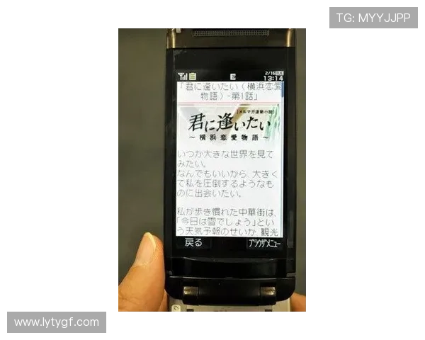 乐鱼手机登陆遇到问题时的排查与解决方法详解