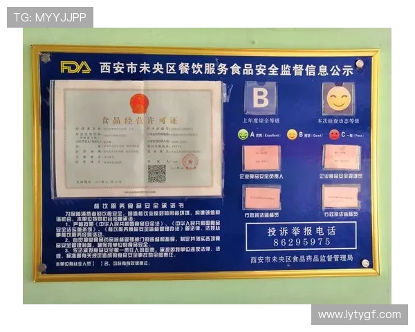 乐鱼游戏登录安全提示与建议保障玩家账号信息安全