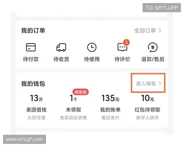 乐鱼真人app官方版充值提现流程详解与资金安全保障措施
