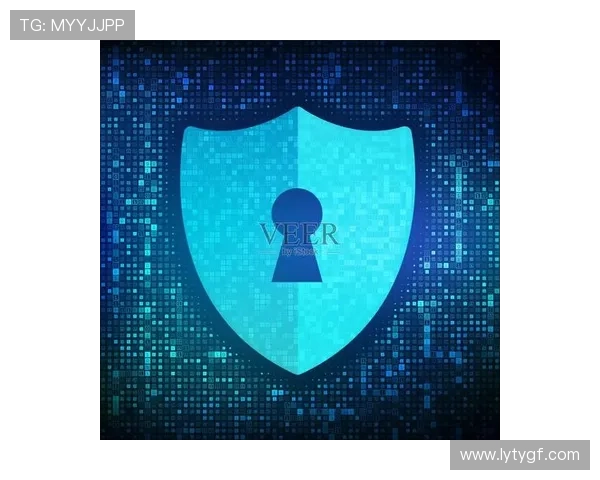 乐鱼手机网页版登录安全保障措施详解确保玩家账号信息安全与隐私保护策略