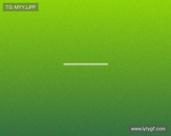 乐鱼全网用户体验优化策略提升网站访问速度与操作便捷性的实用建议